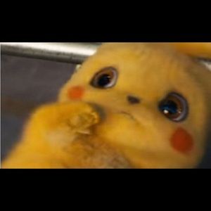 Meet your Posher, Landen